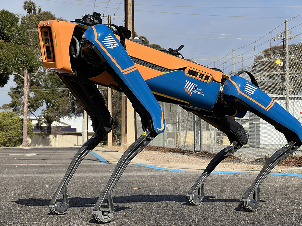 A Spot robot dog from the Boston Dynamics company. SA Power Networks is developing the Spot robot as a tool to inspect assets.