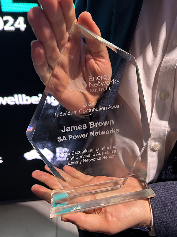 Young South Australian network strategist at SA Power Networks James Brown wins major national energy award