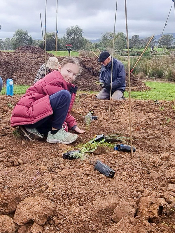 With support from our Community Grants program, South East City Residents Association (SECRA)'s Green Pakapakanthi volunteer group has planted two mini forests in Victoria Park/Pakapakanthi.