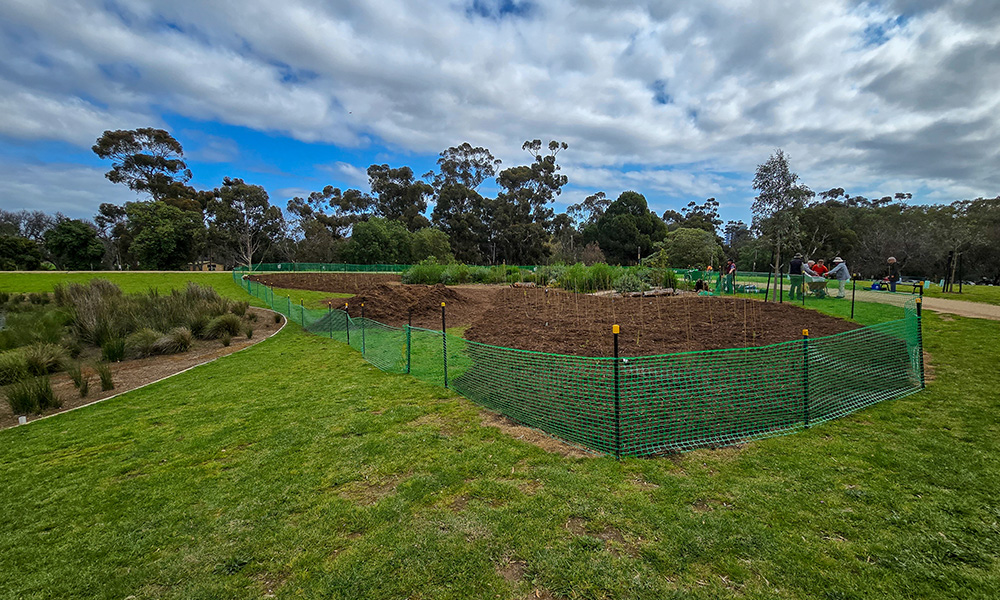 Community Grants SECRA Planting Day 4