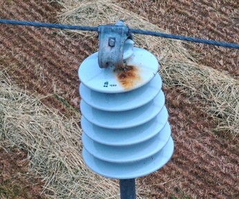 An insulator with damage, where the damage on the top is nearly impossible to see from the ground level.